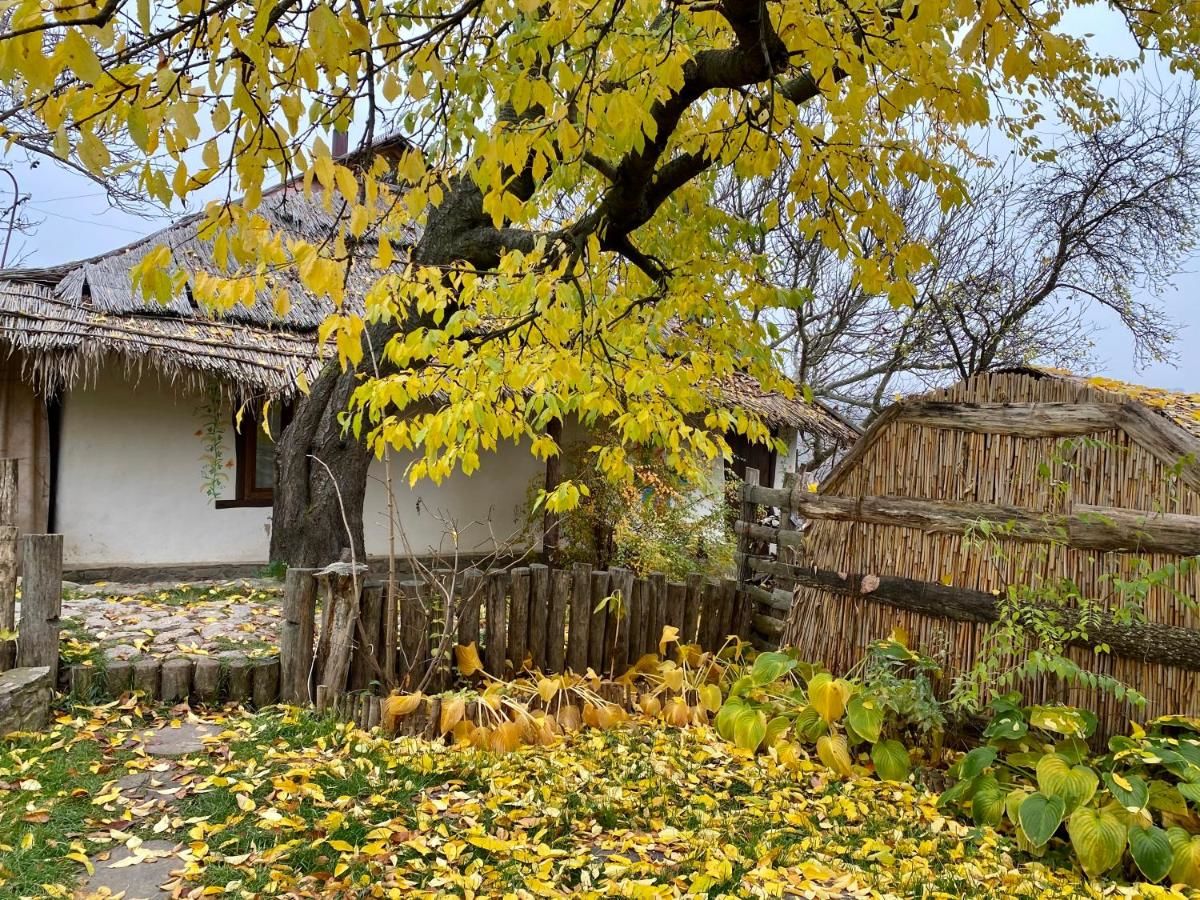 Загородные дома Eko-usadba Lesnaya Skazka Dmitrenki-13