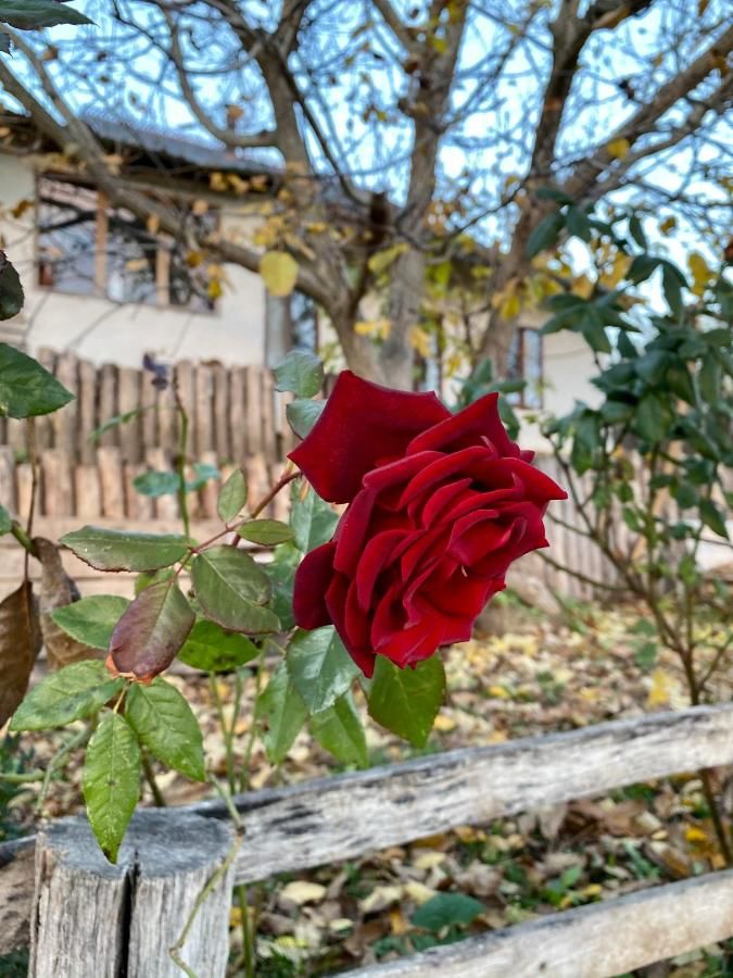 Загородные дома Eko-usadba Lesnaya Skazka Dmitrenki-24