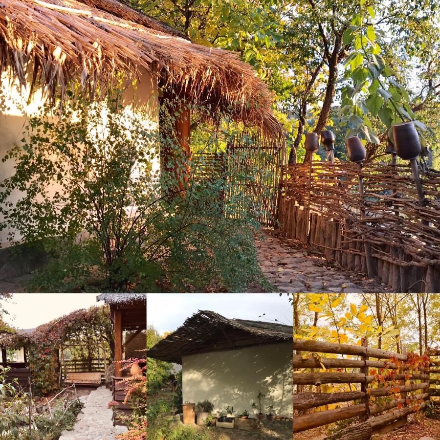 Загородные дома Eko-usadba Lesnaya Skazka Dmitrenki-34